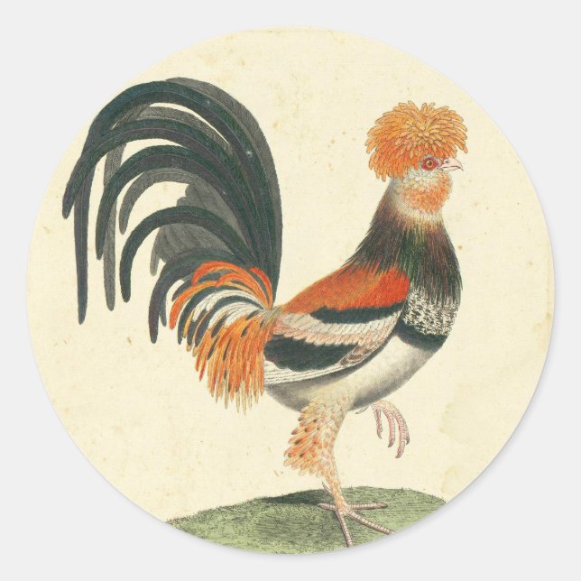 Sticker Rond Grille vintage (Devant)