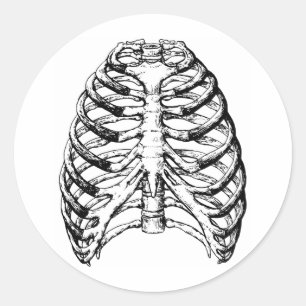 Sticker Rond Gris de cage