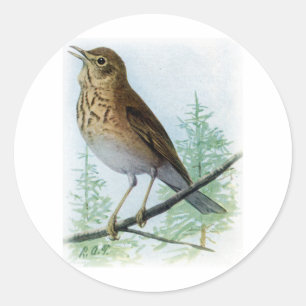 Sticker Rond grive Reinette-soutenue