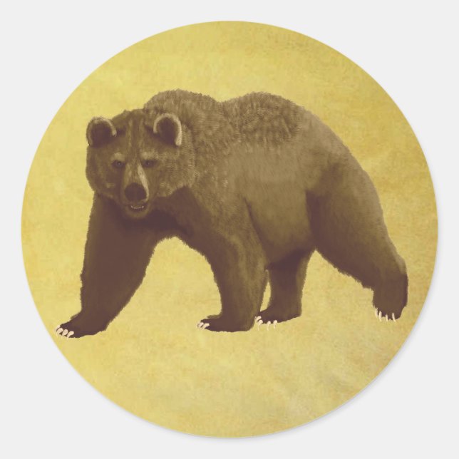 Sticker Rond Grizzly Bear (Devant)