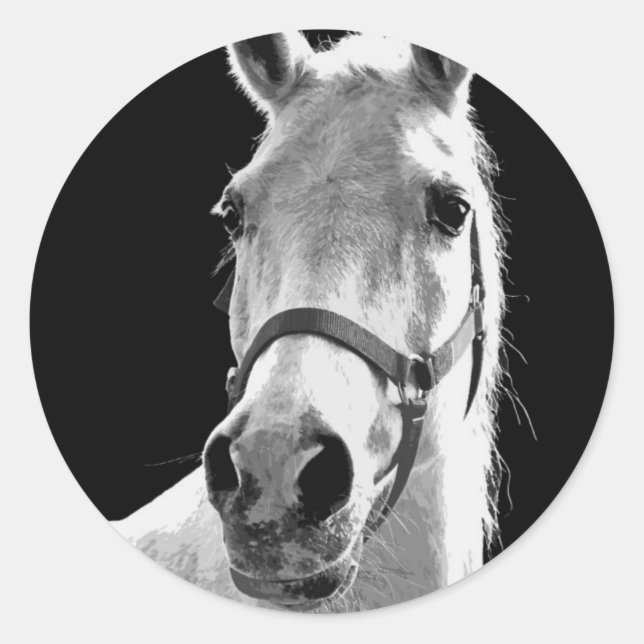 Sticker Rond Gros plan Cheval blanc noir en nuit (Devant)