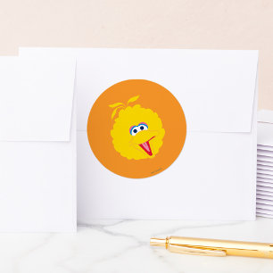 Sticker Rond Gros visage de Bird