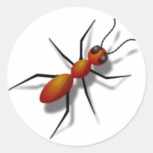 Sticker Rond Grosse fourmi rouge