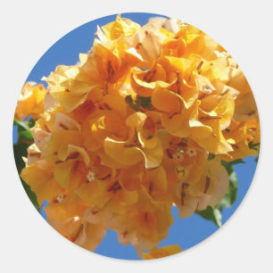 Sticker Rond Groupe de bougainvilliers d'or Floral