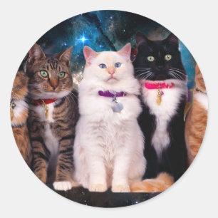 Sticker Rond Groupe de chats assis dans l'espace