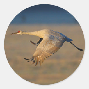 Sticker Rond grue