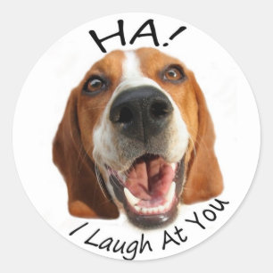 Sticker Rond Ha! Je me moque de toi