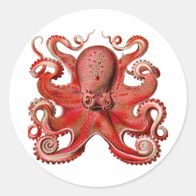 Sticker Rond Haeckel Octopus Red (Devant)