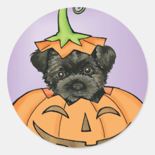 Sticker Rond Halloween Affenpinscher