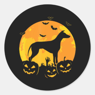 Sticker Rond Halloween Greyhound Jack   Citrouille de marionnet