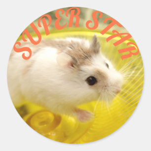 Sticker Rond Hammyville - Cute Hamster Super Star