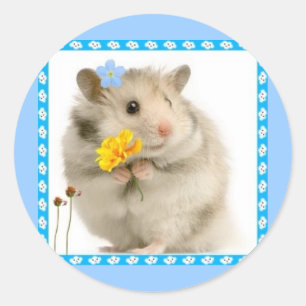 Sticker Rond hamster