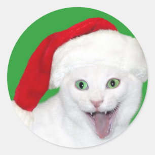 Sticker Rond Happy Père Noël Cat