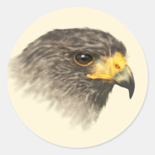Sticker Rond Harris colportent - le milieu mélangé