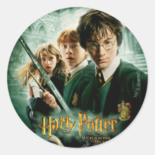 Sticker Rond Harry Potter Ron Hermione Groupe Dobby Saisie