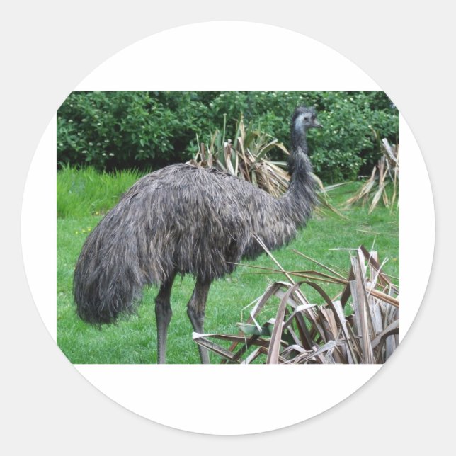 Sticker Rond Harvey (Devant)