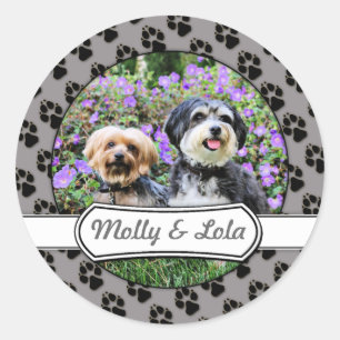 Sticker Rond Havanais - Lola & Yorkie - Molly