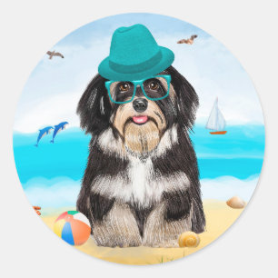 Sticker Rond Havanese Dog on Beach
