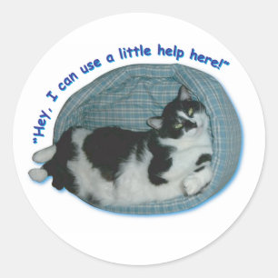 Sticker Rond Hé, je peux utiliser un peu d'aide ici !
