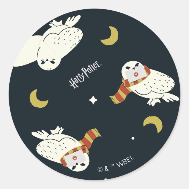 Sticker Rond Hedwig Nighttime Moonlight Pattern (Devant)