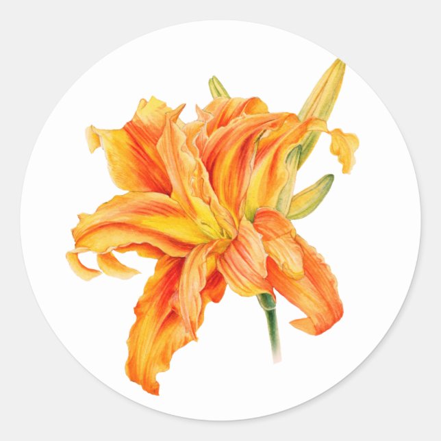 Sticker Rond Hemerocallis (Devant)