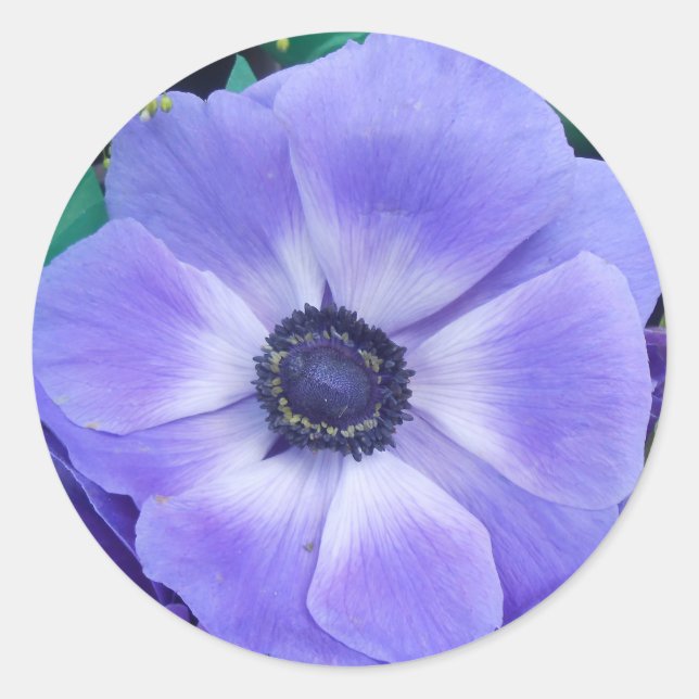 Sticker Rond Henrietta (Devant)