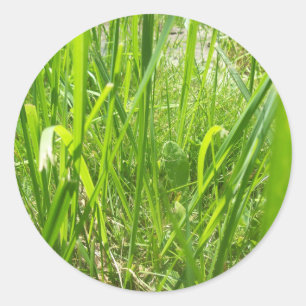 Sticker Rond Herbe