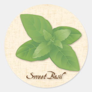 Sticker Rond Herbe Basil douce