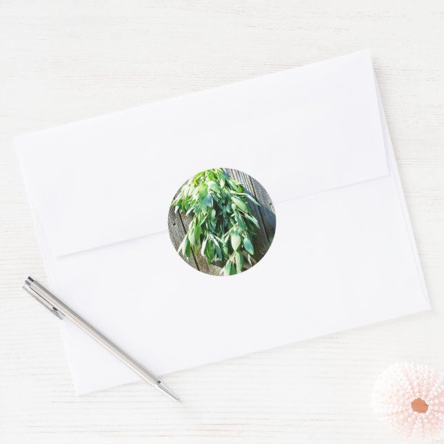 Sticker Rond Herbe botanique Boho feuille rustique Bois-grange (Enveloppe)