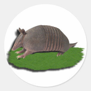 Sticker Rond Herbe de tatou