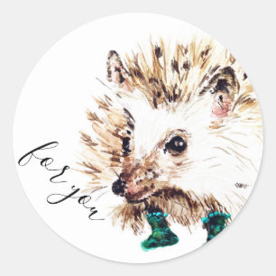 Sticker Rond Hérisson en chaussettes 