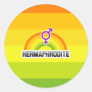 STICKER ROND HERMAPHRODITE RAINBOW