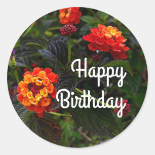 Sticker Rond Heureux Anniversaire Orange Red Trailing Lantana #