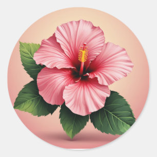 Sticker Rond Hibiscus rose tropical