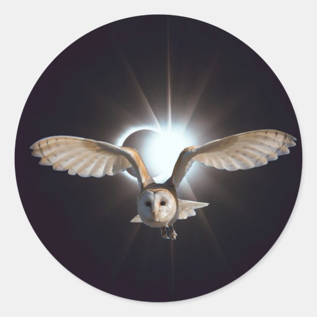 Sticker Rond Hibou dans l'espace extra-atmosphérique (Devant)