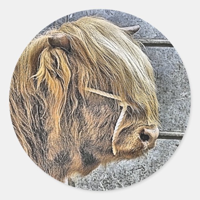 STICKER ROND HIGHLAND VW (Devant)