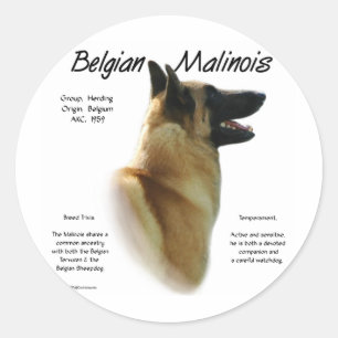 Sticker Rond Histoire des Malinois belges ; Tout sur les Malino