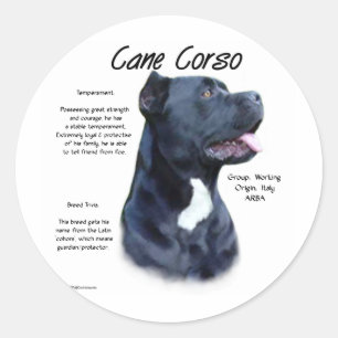 Sticker Rond Histoire du Corso de Canne