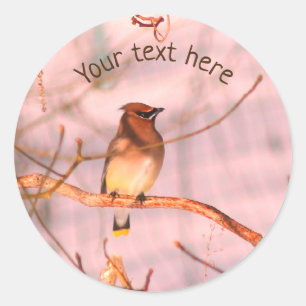 Sticker Rond Hiver cirage Faune Nature Personnalisée