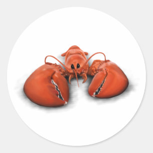 Sticker Rond Homard