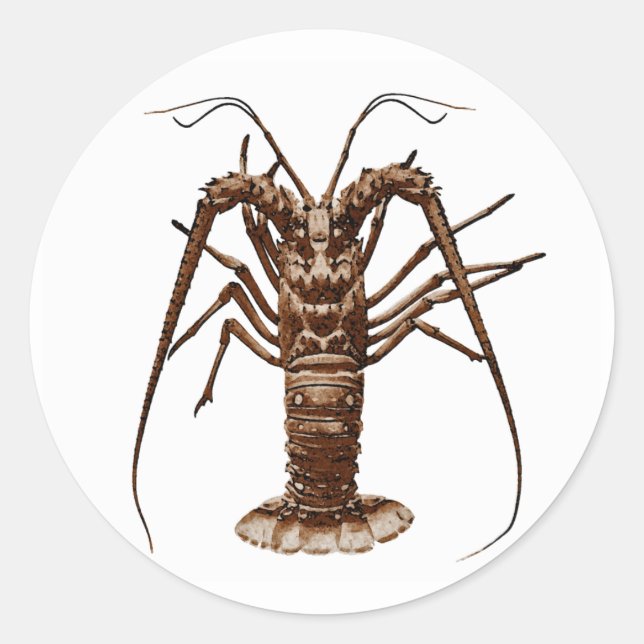 Sticker Rond Homard épineux des Caraïbes (Devant)