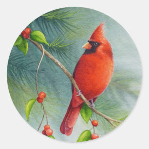 Sticker Rond Homme Cardinal Nord Oiseau Aquarelle Art