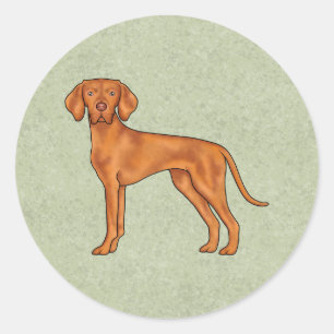 Sticker Rond Hongrois Vizsla Pointeur Dessin Chien Dessin Vert