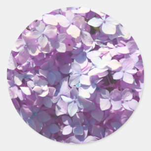 Sticker Rond Hortensia