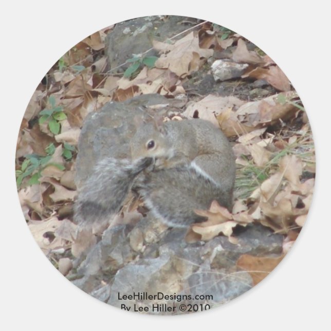 Sticker Rond Hot Springs Mountain, AR Squirrel Cadeaux Camoufla (Devant)