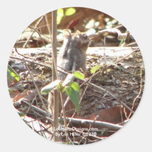 Sticker Rond Hot Springs Mountain, Arkansas Chipmunk Cadfts