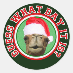 Sticker Rond Hump Day Camel Devinez Quel Jour C'Est Noël