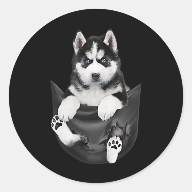 Sticker Rond Husky Sibérien Dans Pocket Puppy (Devant)