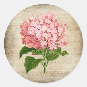 Sticker Rond Hydrangea Rose