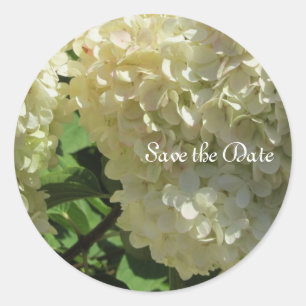 Sticker Rond Hydrangeas Blancs Élégants